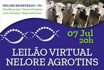 LEILÃO VIRTUAL NELORE AGROTINS